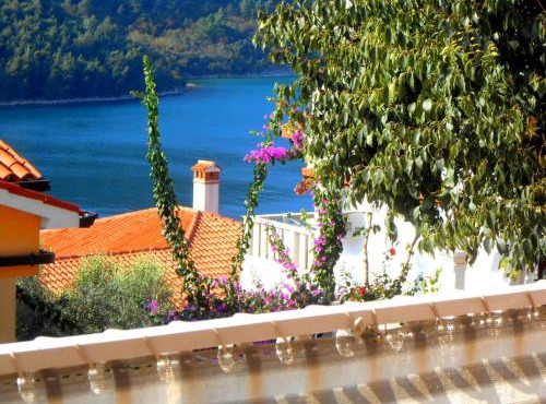 Villa Luma Apartments in Labin