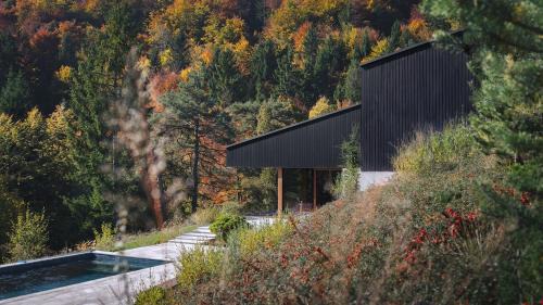 Villa with a pool near a forest, just 20 minutes from downtown Ljubljana in Ig