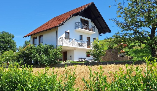 Vineyard Apartments near Rajhenburg Castle in Krsko