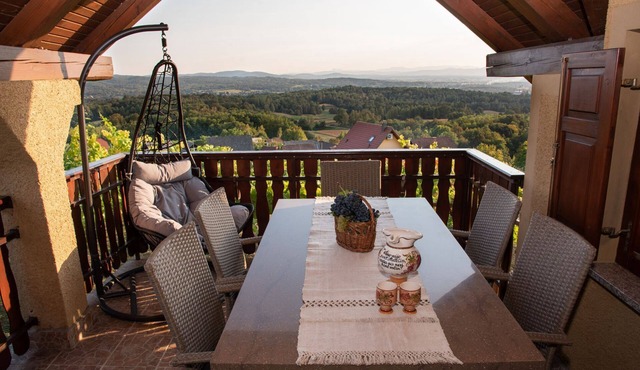 Vineyard Cottage Brodaric in Metlika
