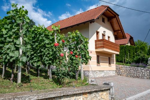 Vineyard Cottage Pod Piramido in Dobrnic