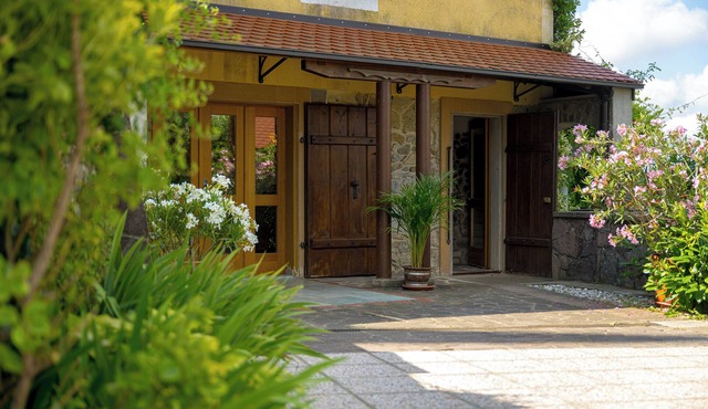 Vineyard cottage Rustika in Novo Mesto