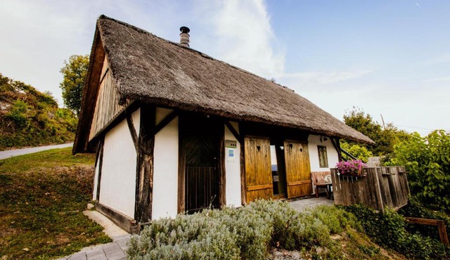 Vineyard Cottage Skatlar 2 in Srednje Grčevje