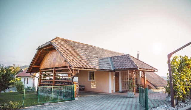 Vineyard Cottage Urban in Bostanj
