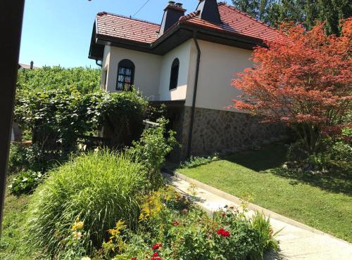 Wine & Nature & Tour in Ptuj