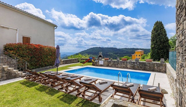 Wonderful private villa with private pool, A/C, internet, TV, terrace, pets allowed, panoramic view in Buzet