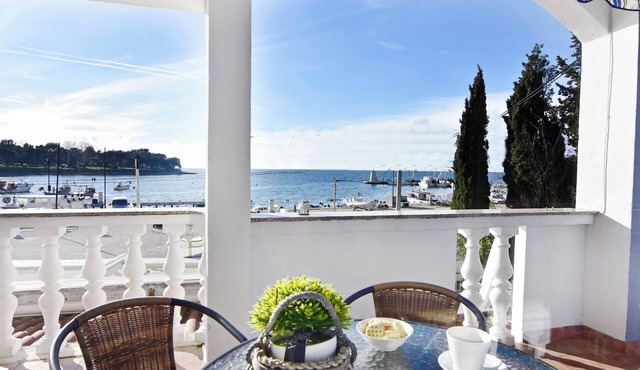 Wonderful sea view apartment in Savudrija