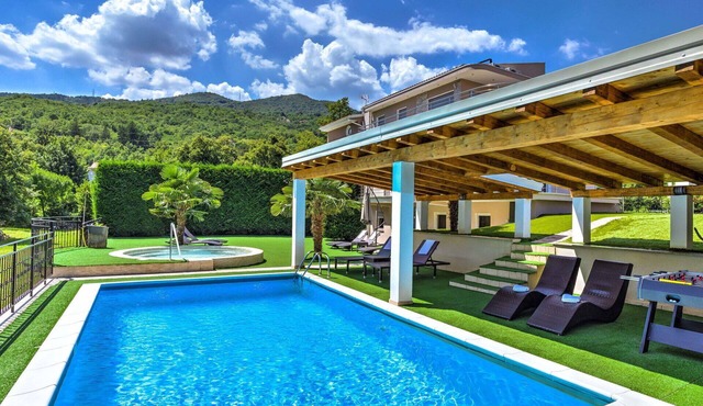 Wonderful villa for 10 guests with A/C, WIFI, hot tub, private pool, TV and patio in Rijeka