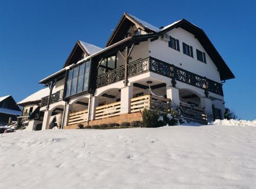 Wooden fairytale in Bostanj