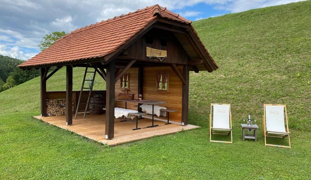 Wooden hut at tourist farm Artisek in Štore