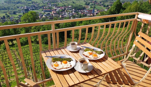 Zidanica Jakše - Vineyard Cottage in Semič
