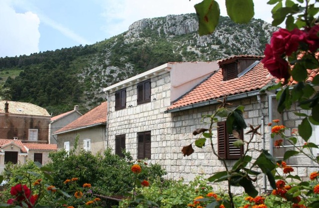 Trstenik 