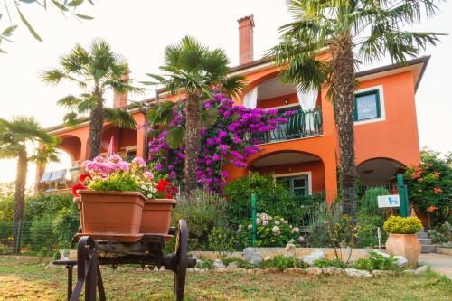 Apartments Mirjana in Novigrad Istria