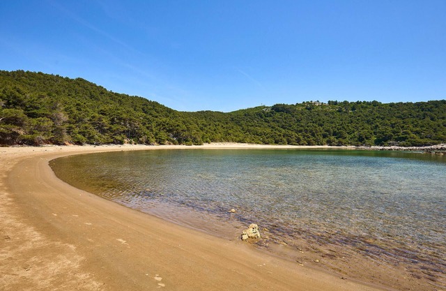 Saplunara 