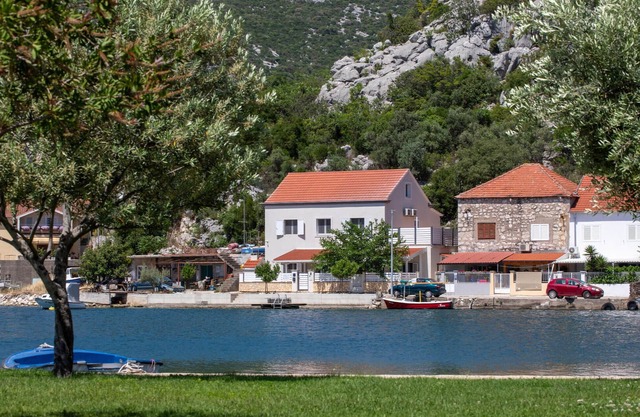 Rogotin 