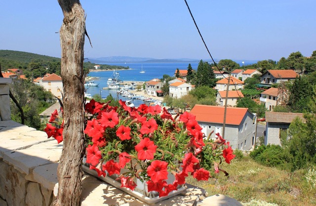 Terrace Sea Žman Dugi Otok 