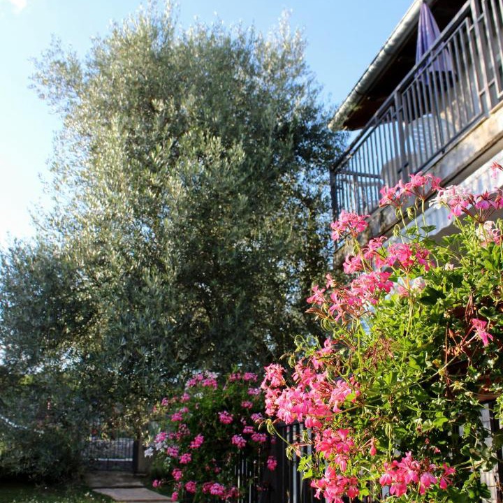 Linardici Apartment | Turković Apartments