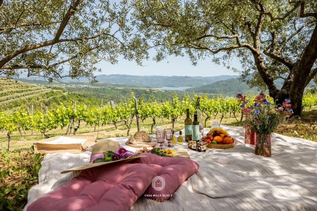 Sveti Bartol Villa | Villa with Private Pool & Lake View near Motovun, Casa Mille Olivi Modern