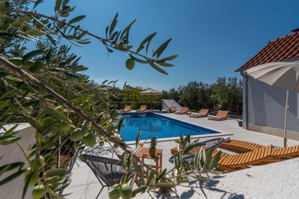 Seget Donji Apartment | Villa Dalmata