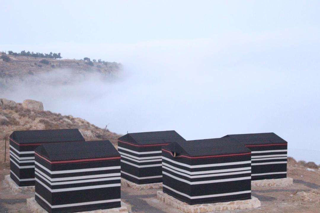 Dana Other | Ein lahda camp-site