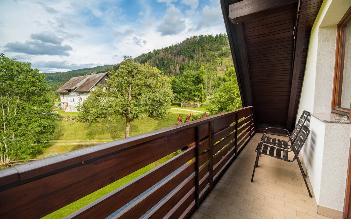 Photo of Others in Bohinj
