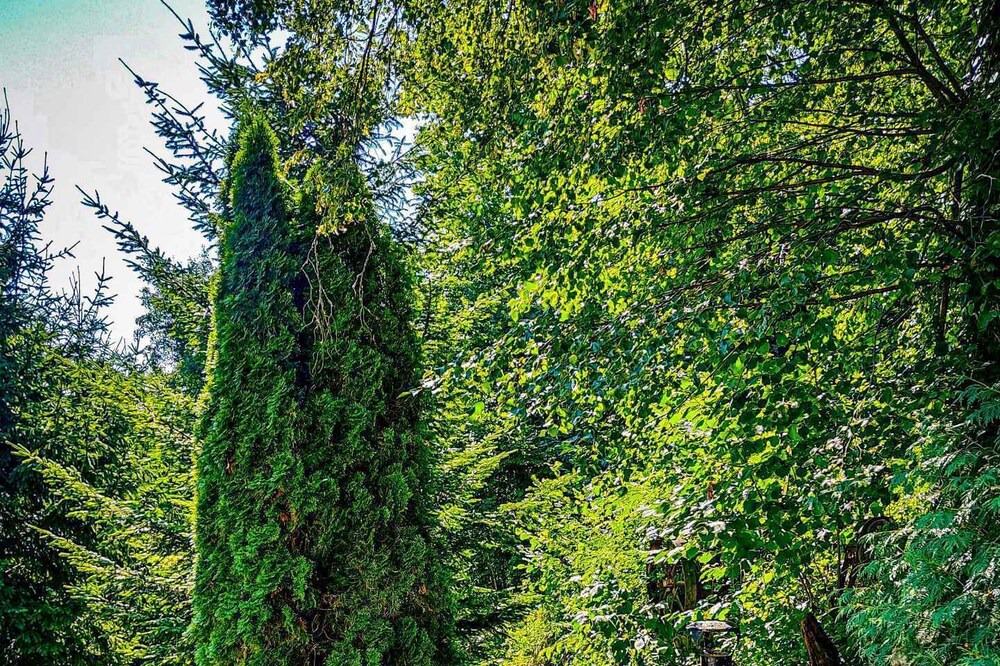 Photo of Outdoor in Srednje Grcevje