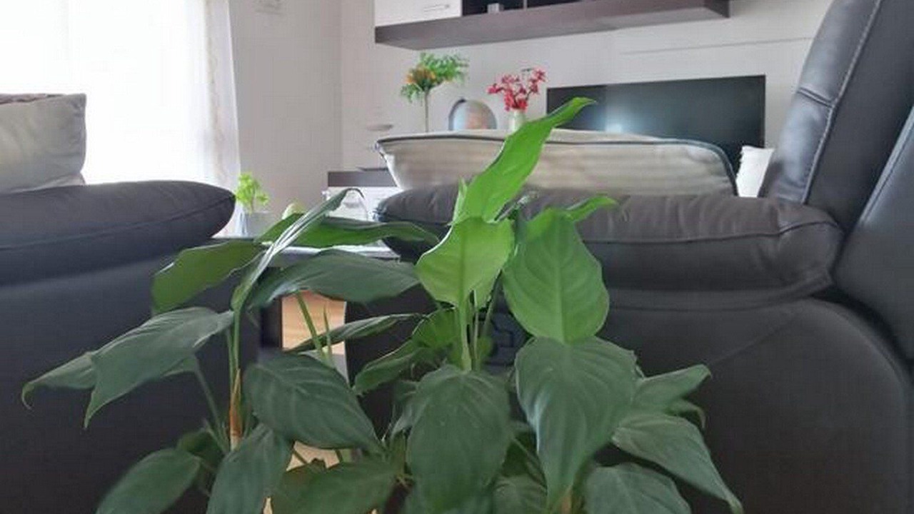 Photo of Bedroom in Bibinje