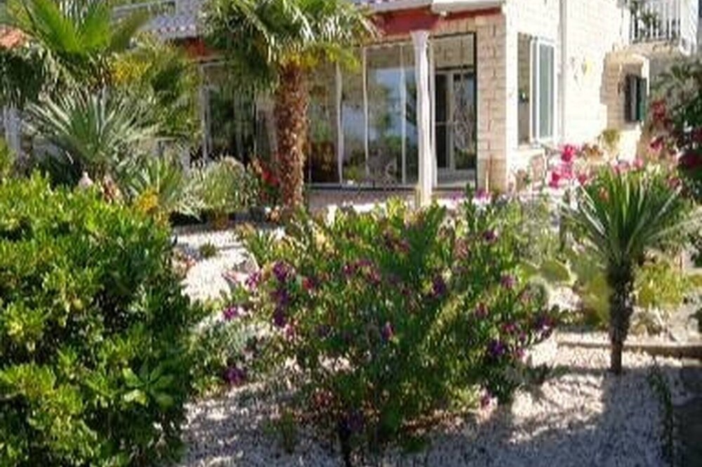 Photo of Outdoor in Trsteno