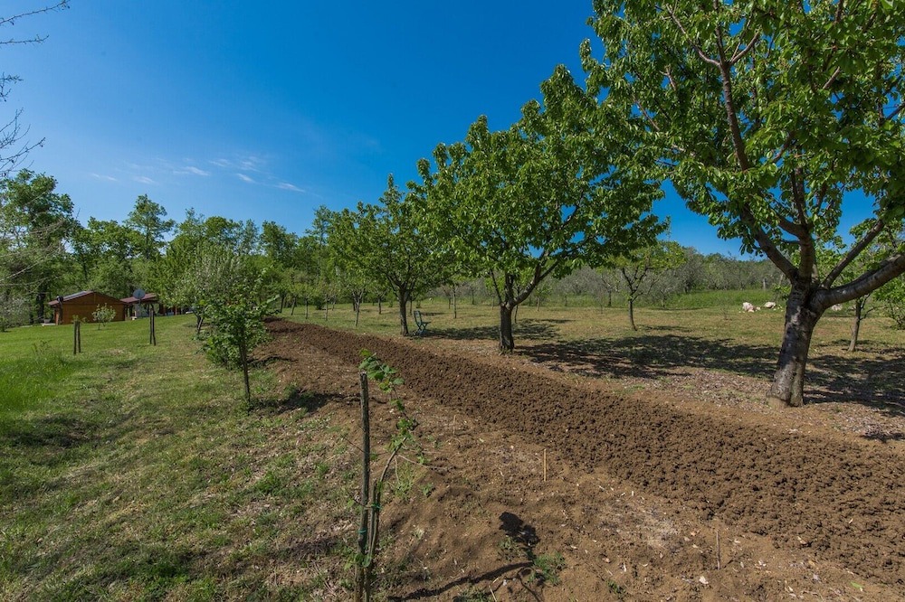 Photo of Outdoor in Vranje Selo