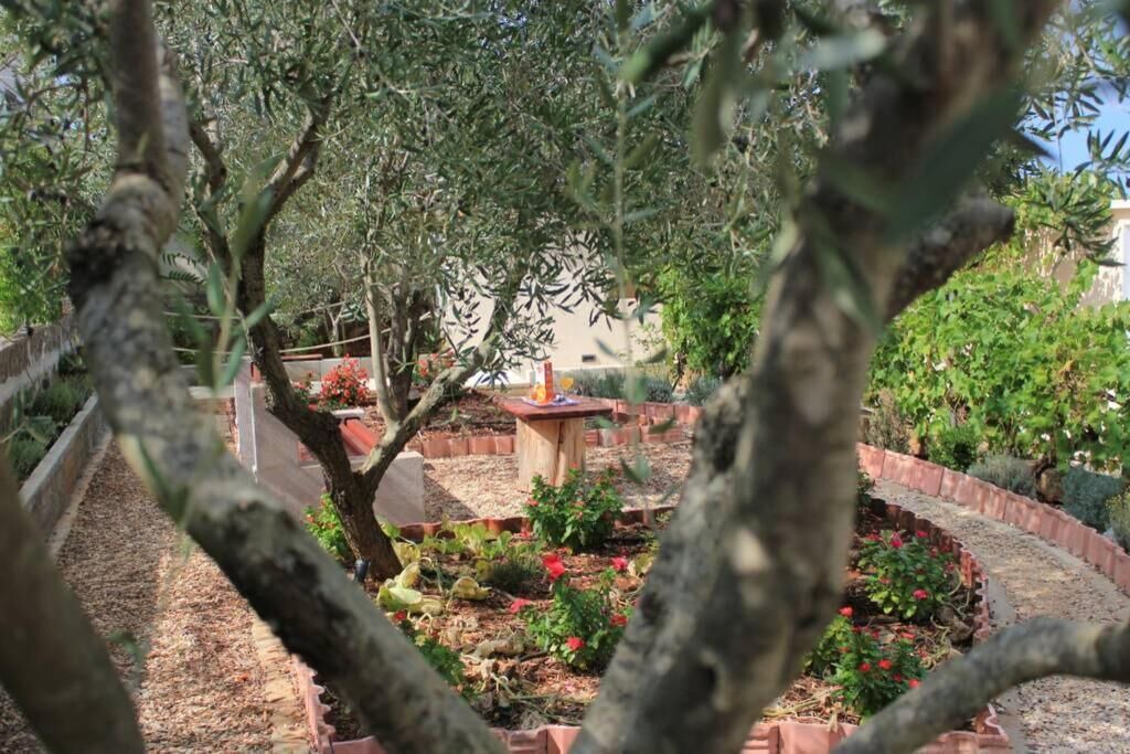 Photo of Patio Balcony in Lukoran