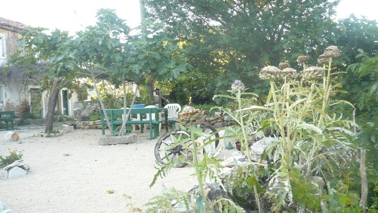 Photo of Outdoor in Cres