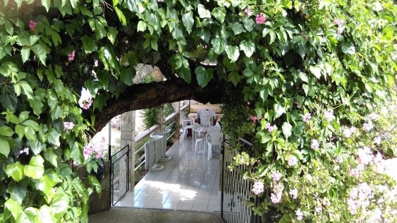 Photo of Outdoor in Cove Rogacic