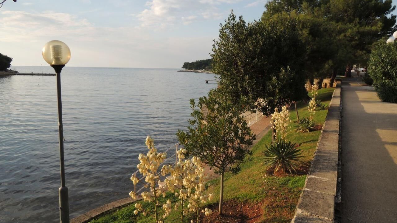 Photo of Outdoor in Vrvari