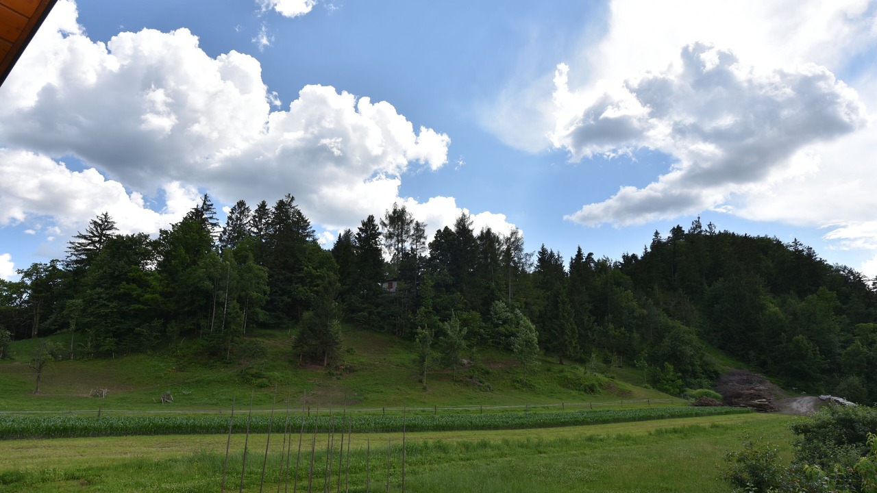Photo of Others in Bled