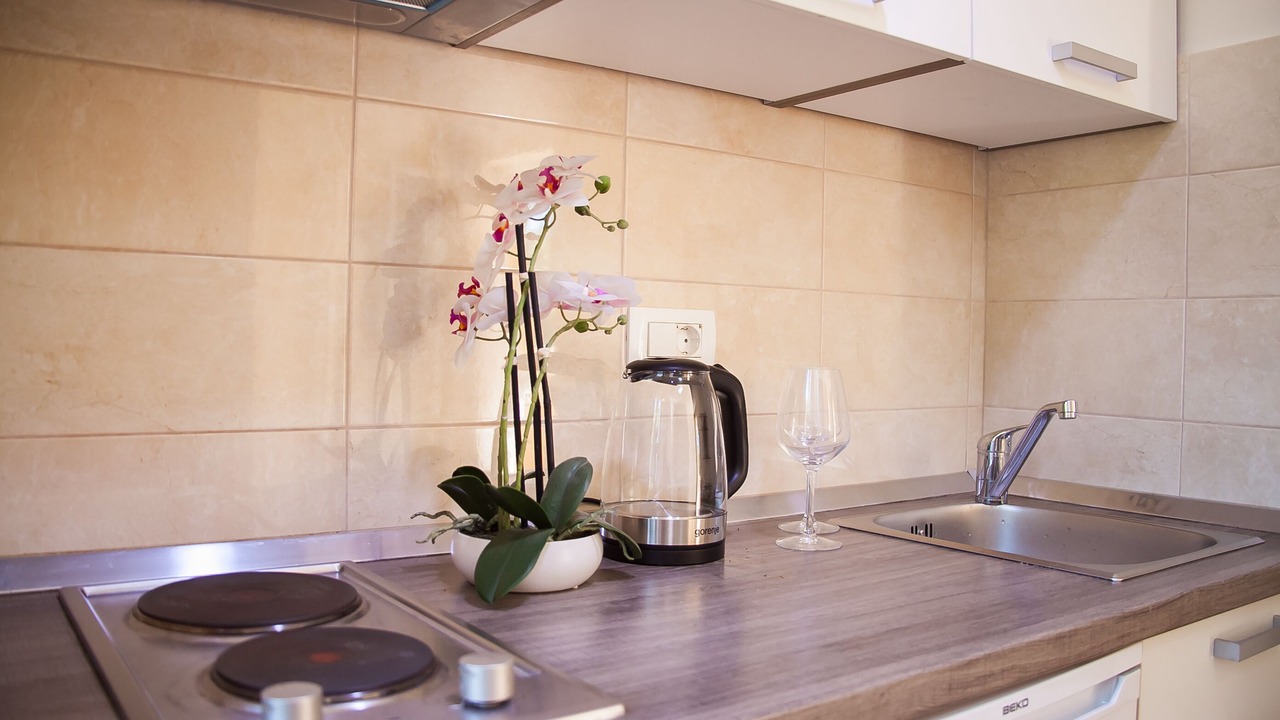 Photo of Kitchen in Bol