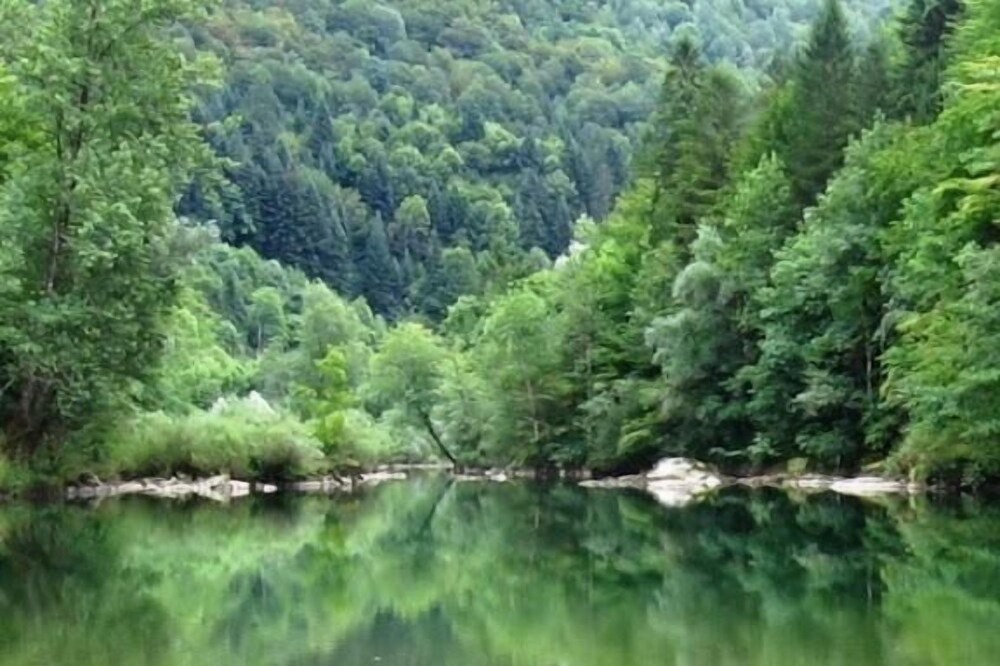 Photo of Others in Brod Moravice