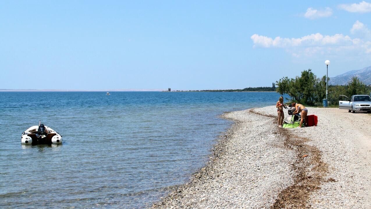 Photo of Others in Seline