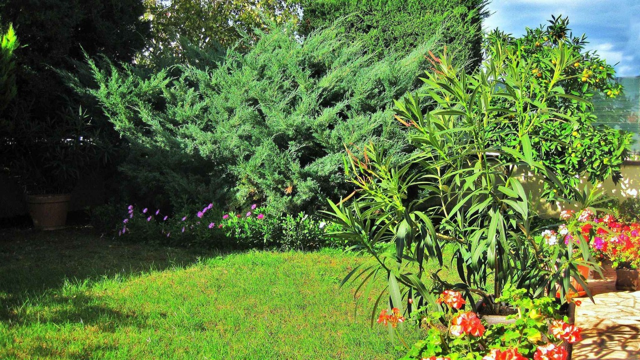 Photo of Outdoor in Valbandon