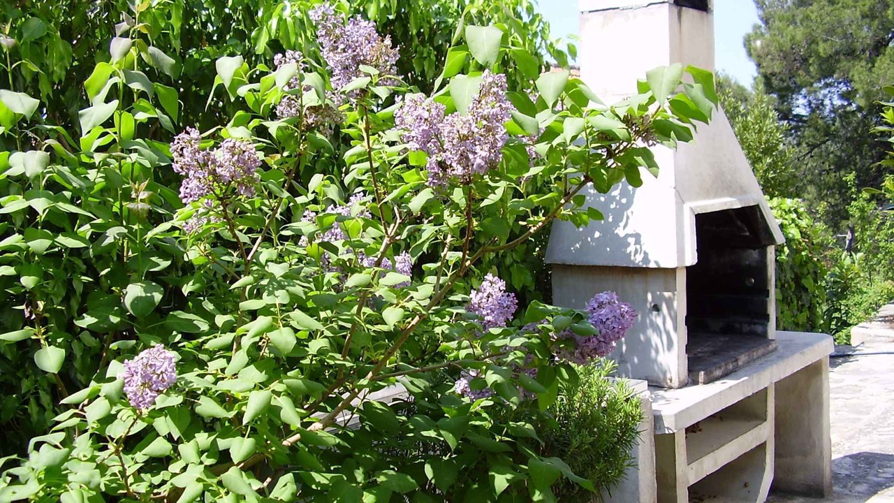 Photo of Outdoor in Rogoznica