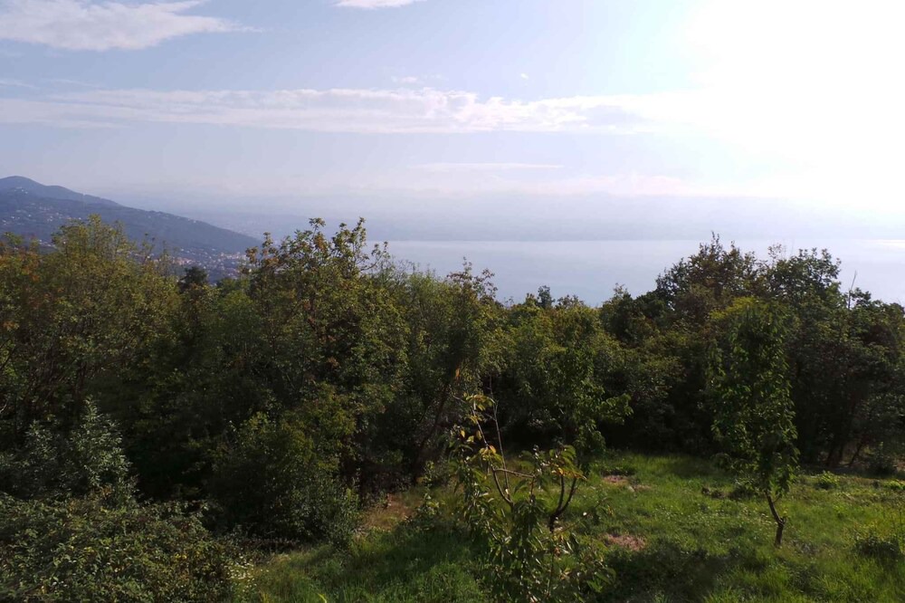 Photo of Others in Tulisevica