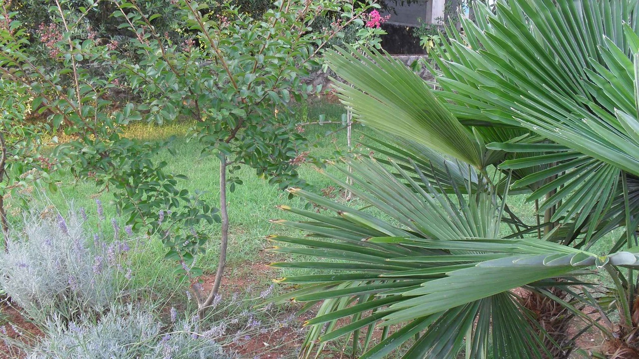 Photo of Outdoor in Malinska