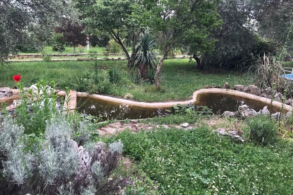 Photo of Outdoor in Valica