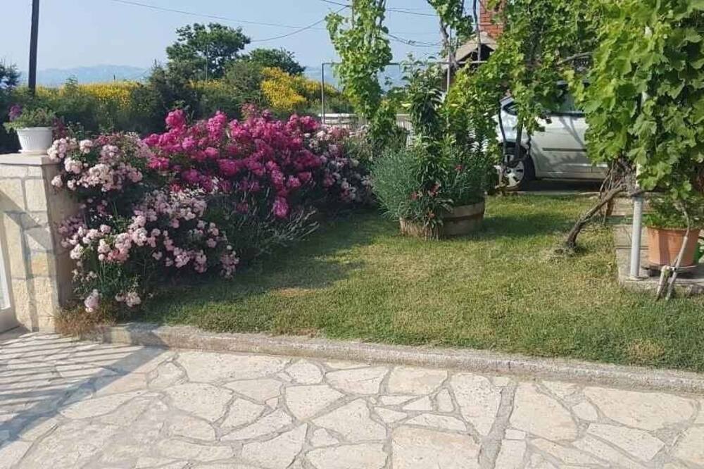 Photo of Outdoor in Ljubac