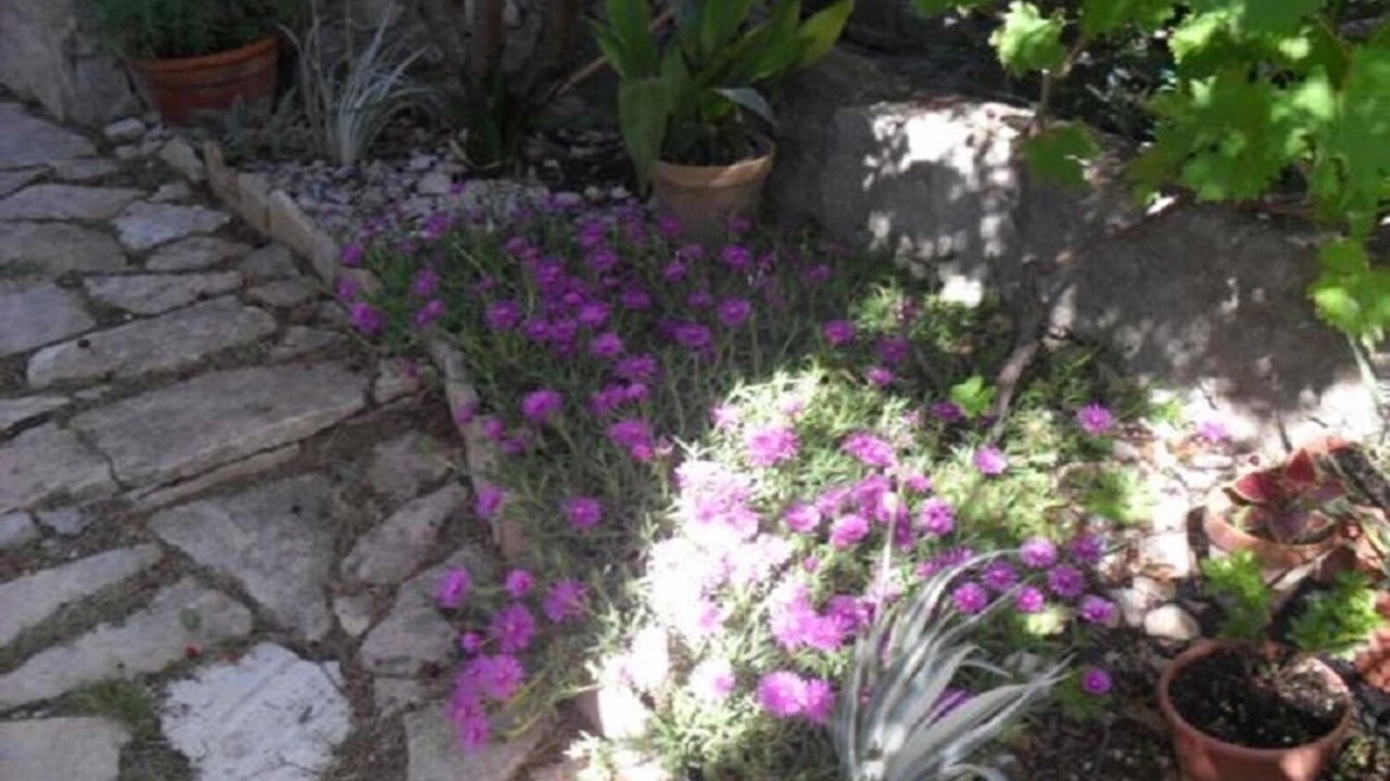 Photo of Outdoor in Ljubac