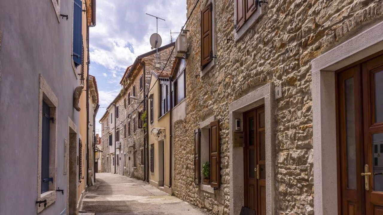 Photo of Outdoor in Murine