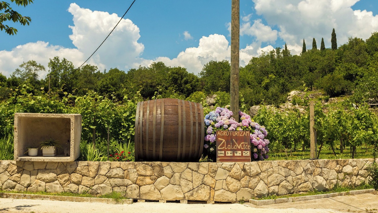 Photo of Outdoor in Popovici