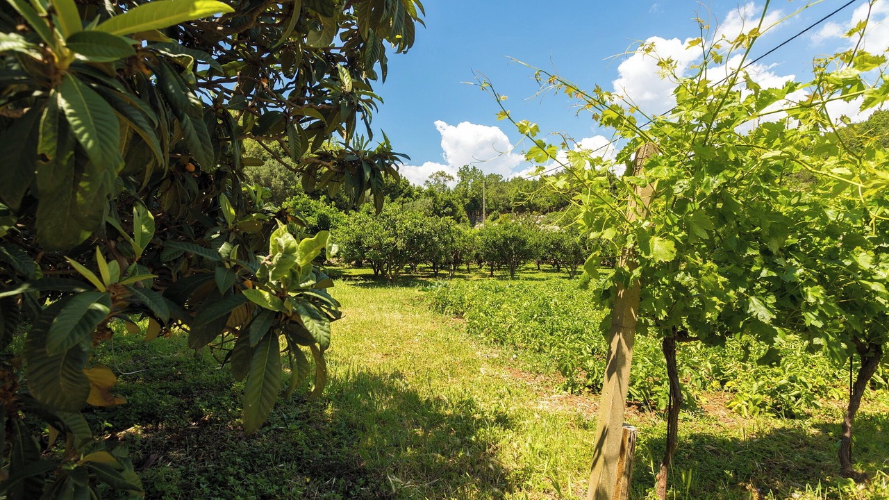 Photo of Outdoor in Popovici