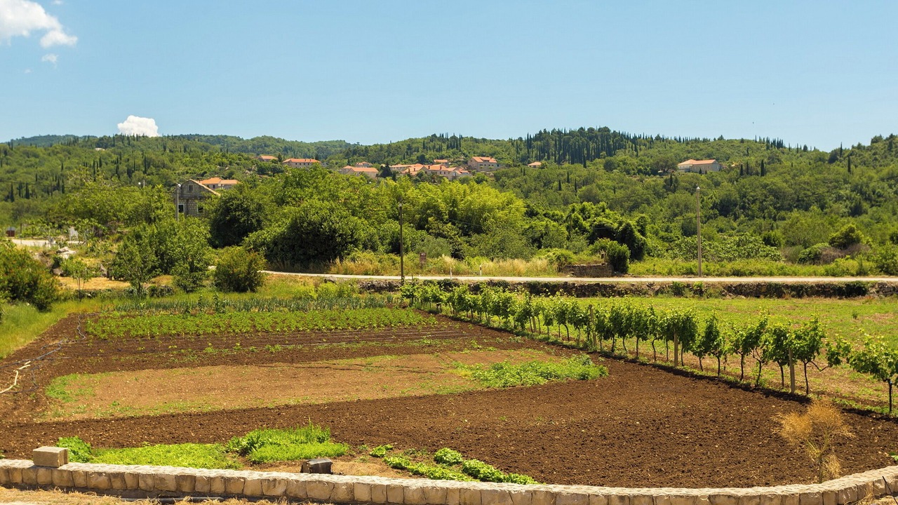 Photo of Outdoor in Popovici
