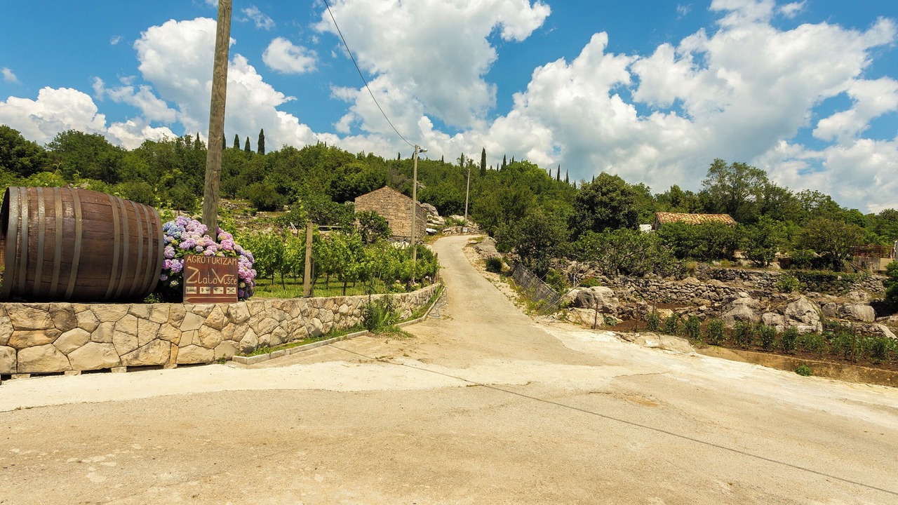Photo of Outdoor in Popovici