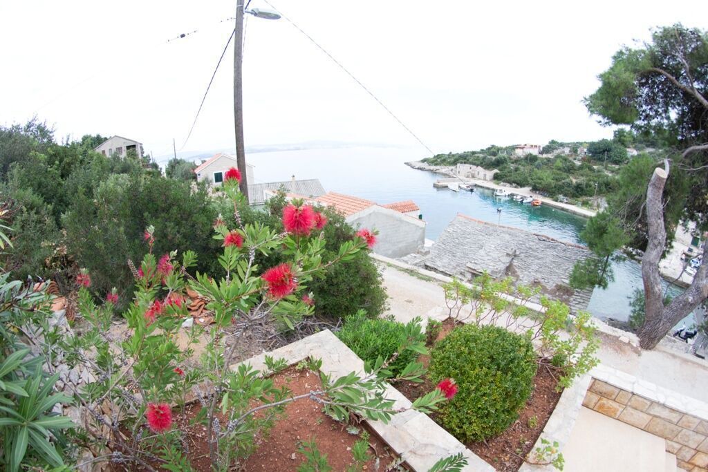 Photo of Outdoor in Donje Selo